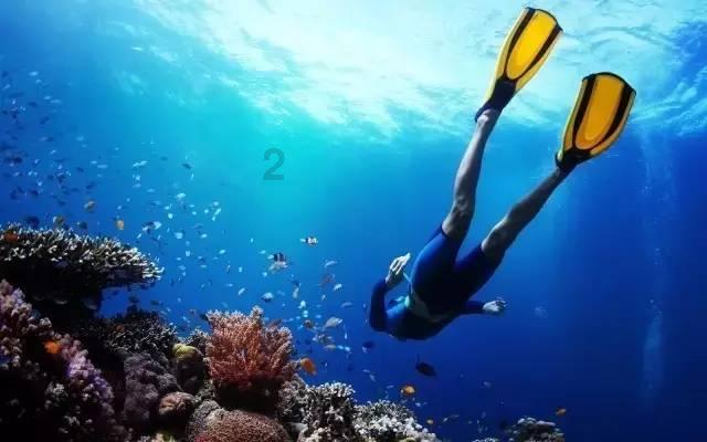 机智问答网页-大家知道怎么减肥吗`?,让你一步到位解决疑惑